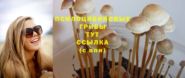 трава Михайловск