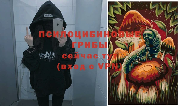 трава Михайловск