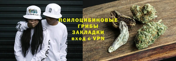 амф Мегион
